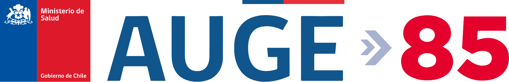 AUGE - Ministerio de Salud